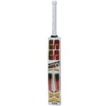 SS MASTER CRICKET BAT KASHMIR WILLOW