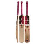 SS GLADIATOR KASHMIR WILLOW CRICKET BAT